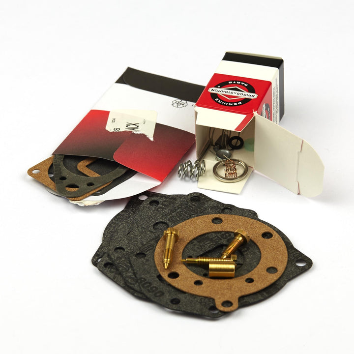 Briggs and Stratton 694056 Instandsetzungs-Set, für Vergaser in Kraftstoff-Schneckenpumpe