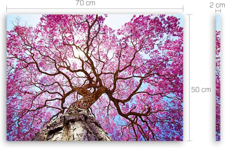 ge Bildet Bild auf Leinwand | Rosa Lapacho Baum in Pocone - Brasilien - Natur Baum Pink Lila B in 70