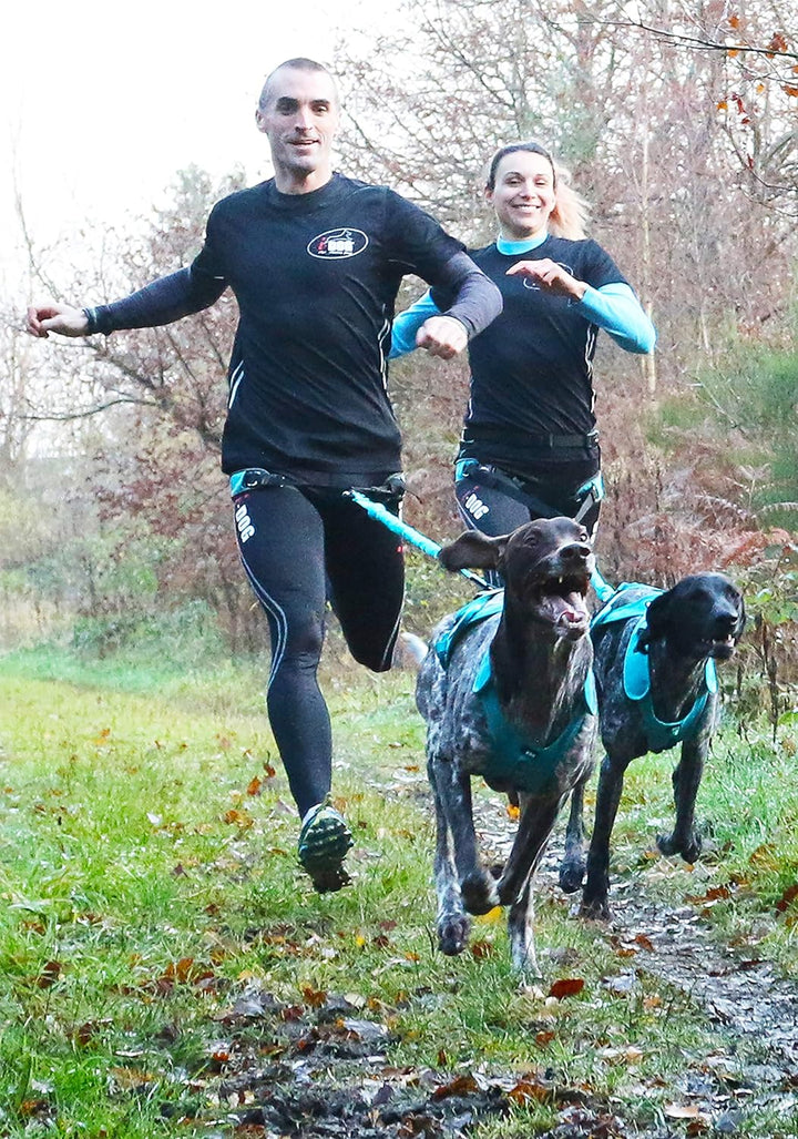 I-dog Verstellbares Geschirr Canicross X-Back Phoenix ALM, Blau (L), L