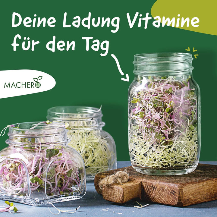 MACHERÓ Sprossenglas mit Deckel 750 ml, Keimglas 2er-Set Pflanzen im Glas, inkl. Abtropfschale, Edel