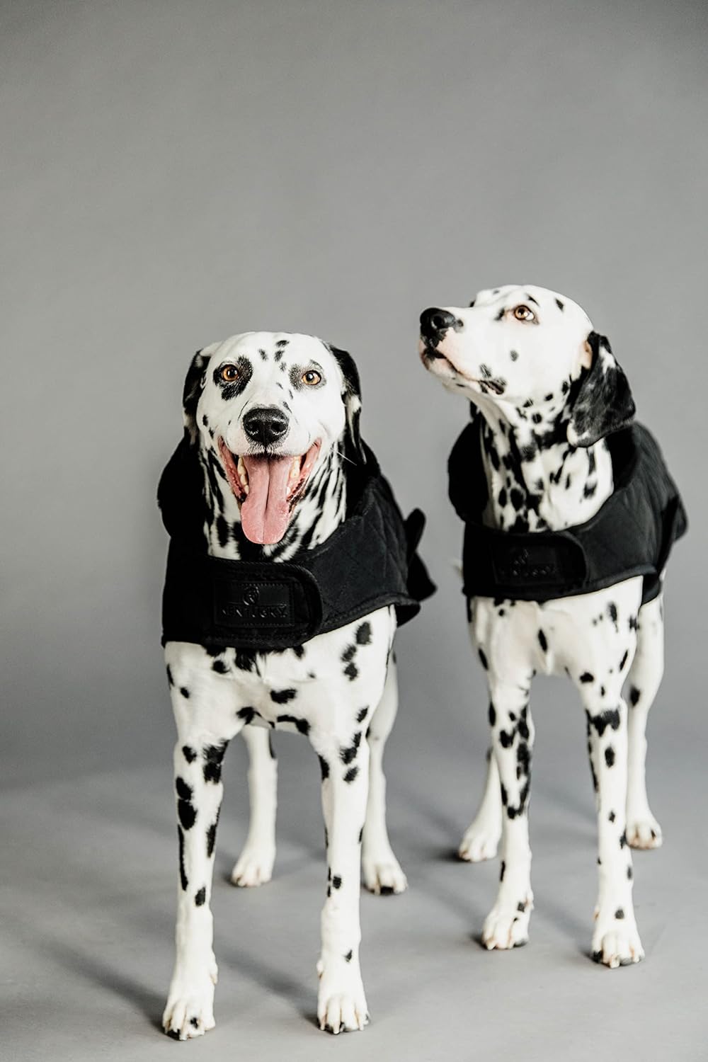 Kentucky Dogwear Hundemantel 160g, Grösse:S/M, Farbe:schwarz schwarz S/M, schwarz S/M