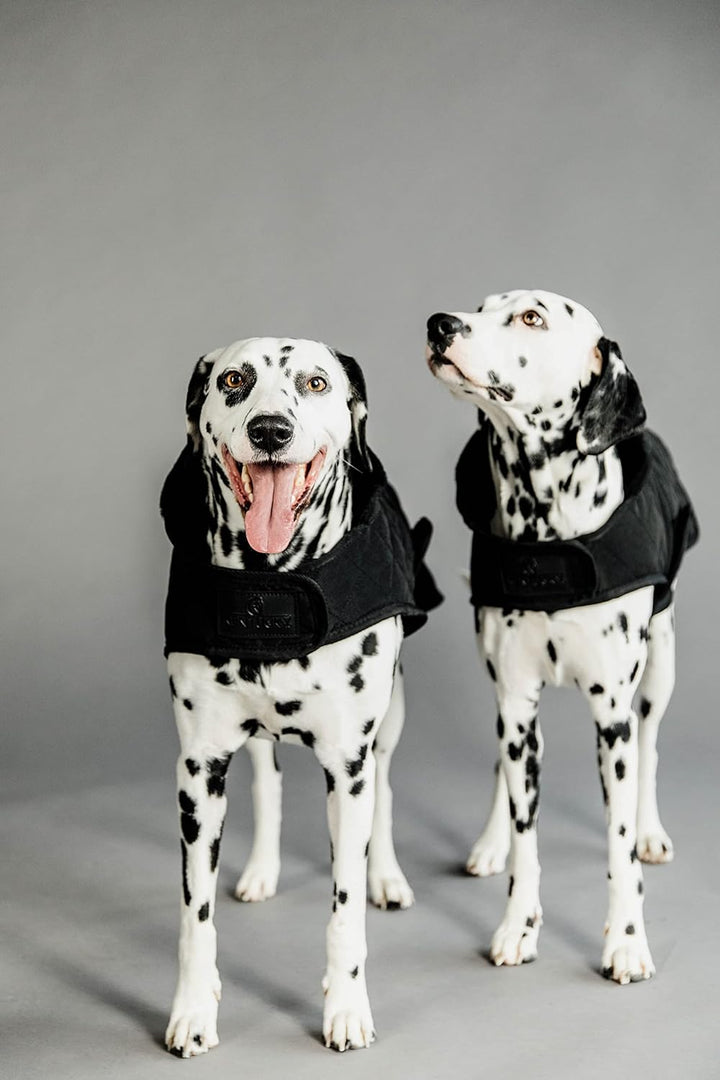 Kentucky Dogwear Hundemantel 160g, Grösse:S/M, Farbe:schwarz schwarz S/M, schwarz S/M