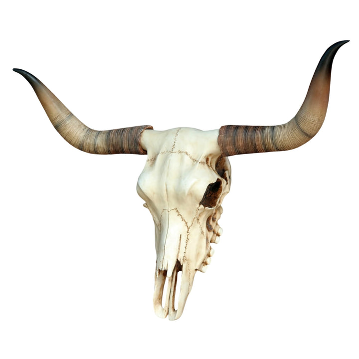Bullenschädel Longhorn Schädel Skull Totenschädel Schädel Geweih Figur