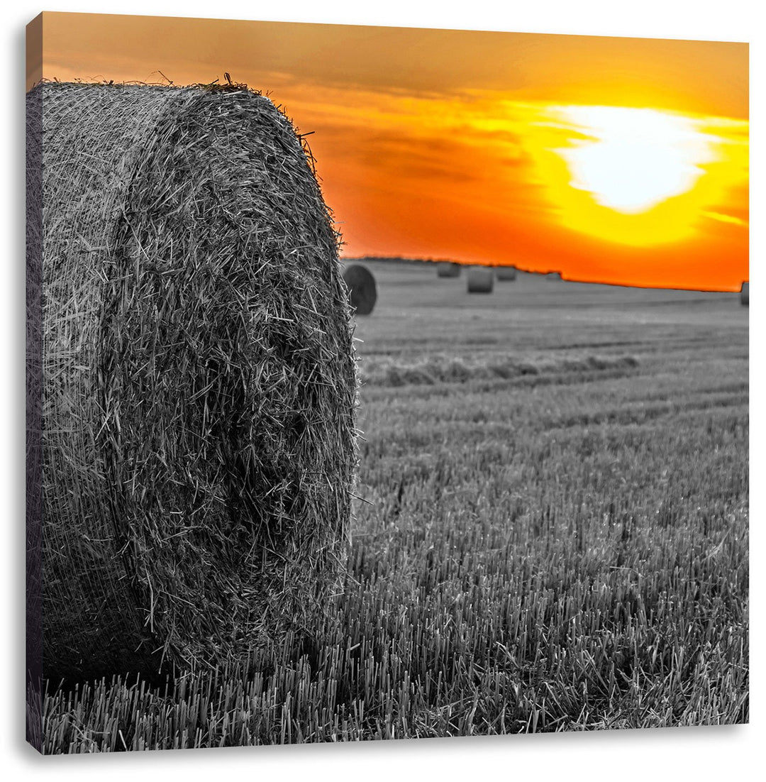Pixxprint Strohballen auf Feld als Leinwandbild/Grösse: 70x70 cm/Wandbild/Kunstdruck/fertig bespannt