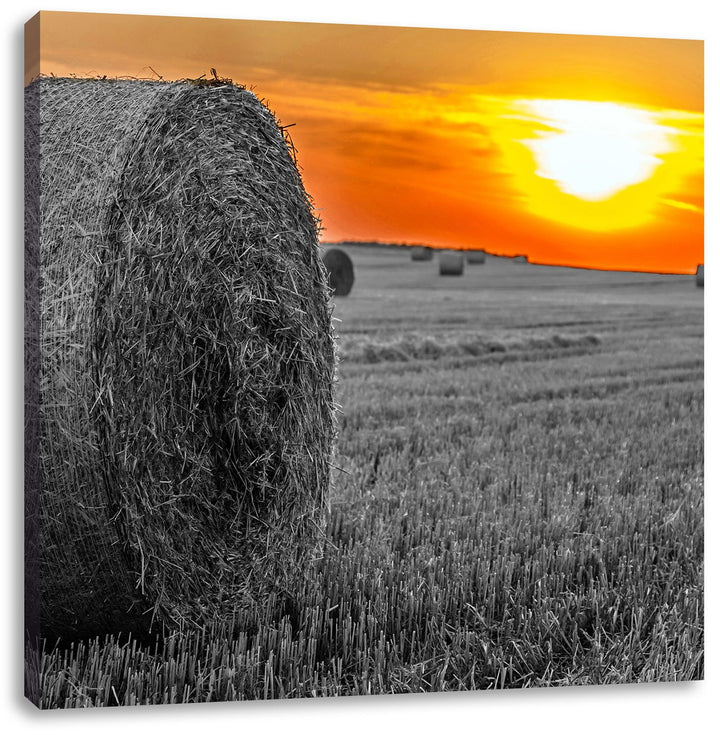 Pixxprint Strohballen auf Feld als Leinwandbild/Grösse: 70x70 cm/Wandbild/Kunstdruck/fertig bespannt