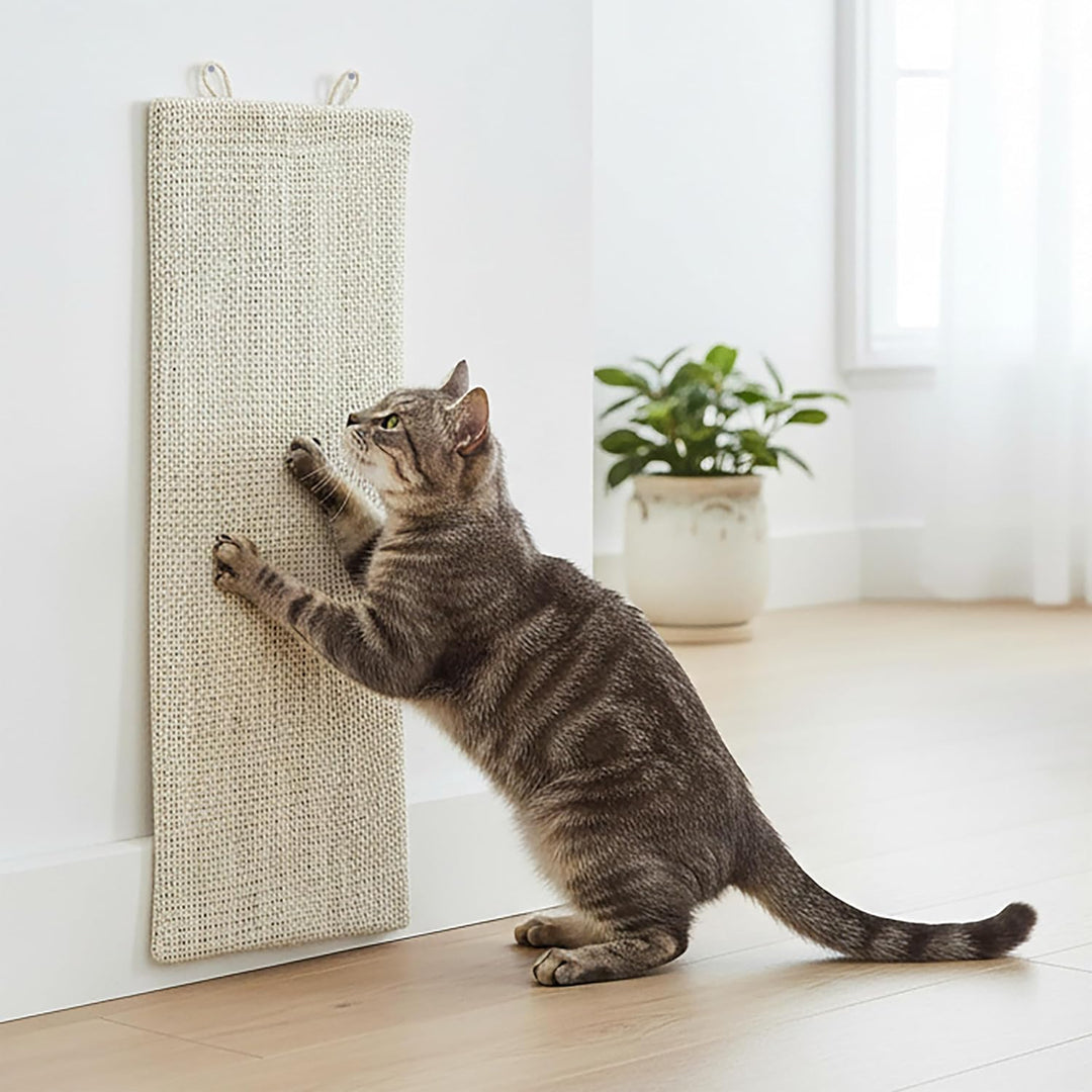 Katzen Kratzbrett klein mit 2 verschiedenen Seiten - 50 x 22 cm - Sisal und Plüsch Kratzecke zum Leg