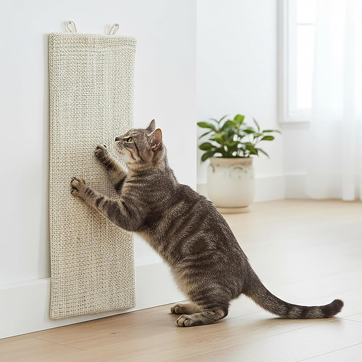 Katzen Kratzbrett klein mit 2 verschiedenen Seiten - 50 x 22 cm - Sisal und Plüsch Kratzecke zum Leg