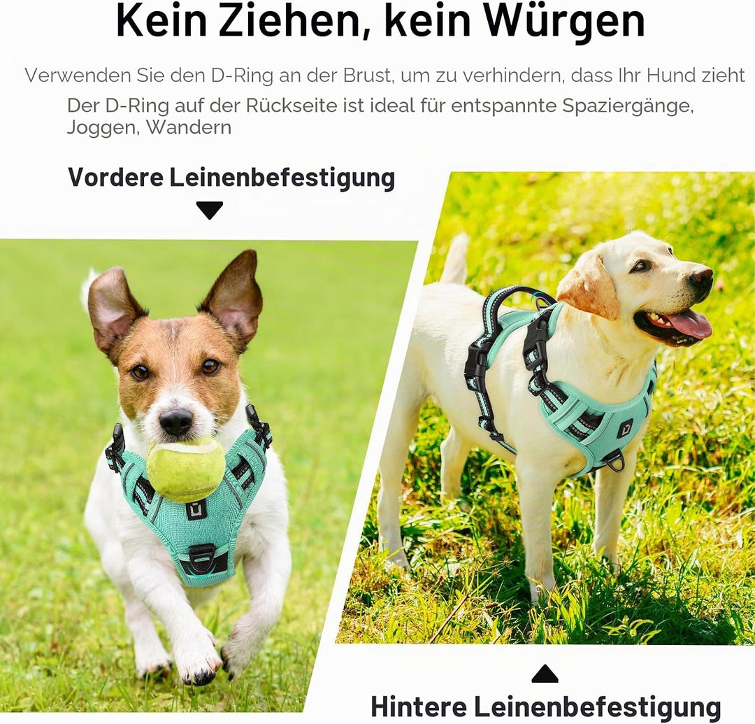 Hundegeschirr, No-Pull Hundegeschirr, Brustgeschirr für kleine, Grosse, mittelgrosse Hunde, Weich At