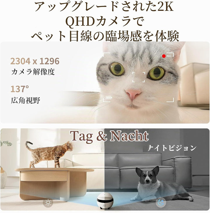 Enabot ROLA Mini Funny Pet Companion Robot