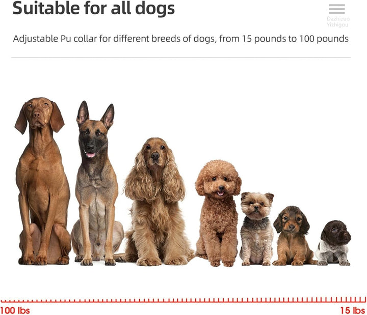 New Interaktives Führungshalsband, Hundespielzeug, wasserdicht, DREI Modi, geeignet für Verschiedene