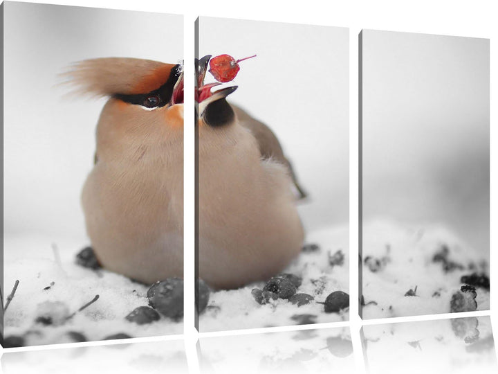 Pixxprint Kleiner Vogel im Schnee Schwarz/Weiss 3-Teiler Leinwandbild 120x80 Bild auf Leinwand