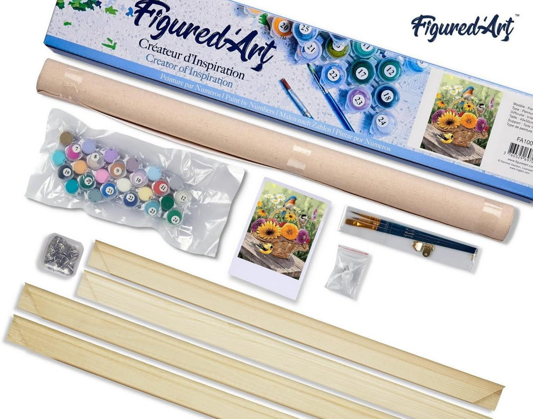 Figured'Art Malen Nach Zahlen Erwachsene Mit Rahmen Blumen im Korb und Vögeln - Paint by Numbers Bas