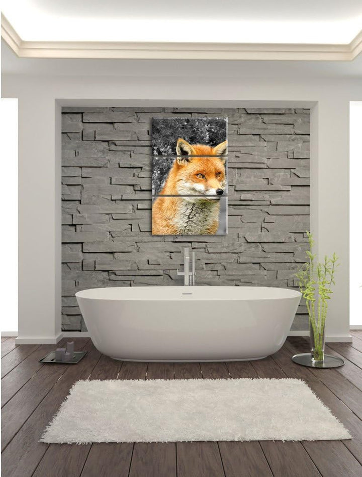 Pixxprint stolzer Fuchs im Geäst als Leinwandbild/Grösse: 3 Teilig (120x80) / Wandbild/Kunstdruck/fe