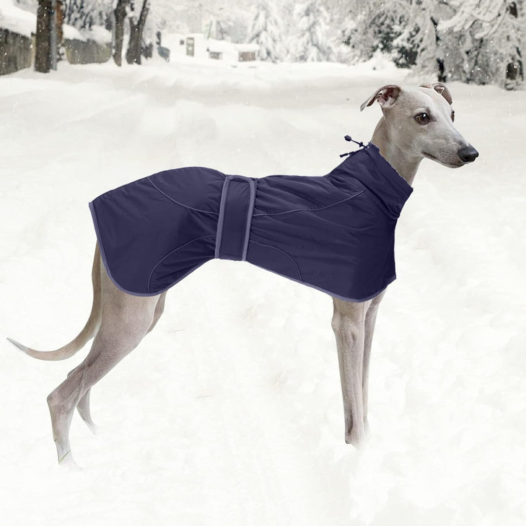 Geyecete- Wasserdicht Windhunde Mantel Fleece Whippet Pullover Winterjacke,Verstellbaren Reflektiere