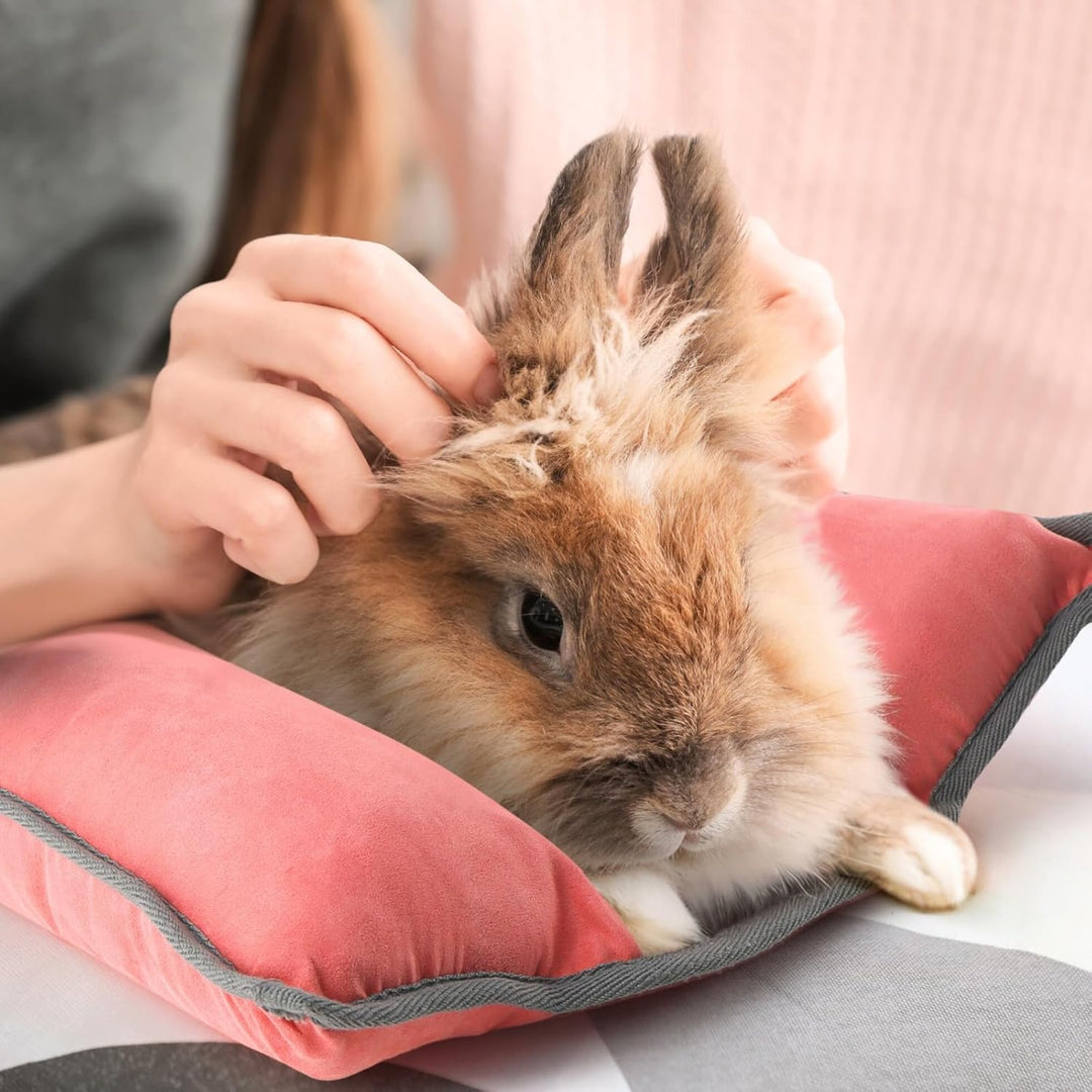 Kaninchen Bett – Zweiseitiges Waschbares Kaninchenkissen, Matte für Junge Katzen, Meerschweinchen un