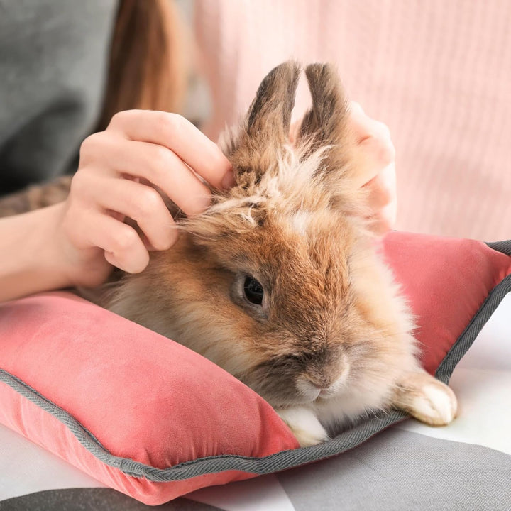 Kaninchen Bett – Zweiseitiges Waschbares Kaninchenkissen, Matte für Junge Katzen, Meerschweinchen un