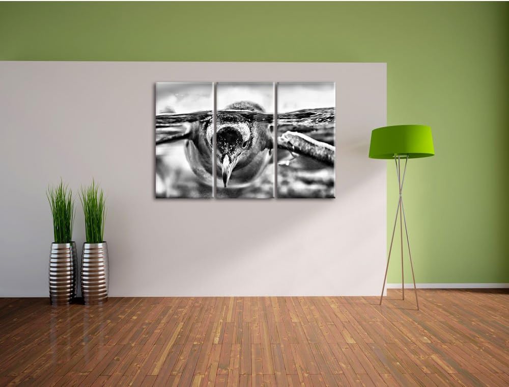 Monocrome, Pinguin im Wasser 3-Teiler Leinwandbild 120x80 Bild auf Leinwand