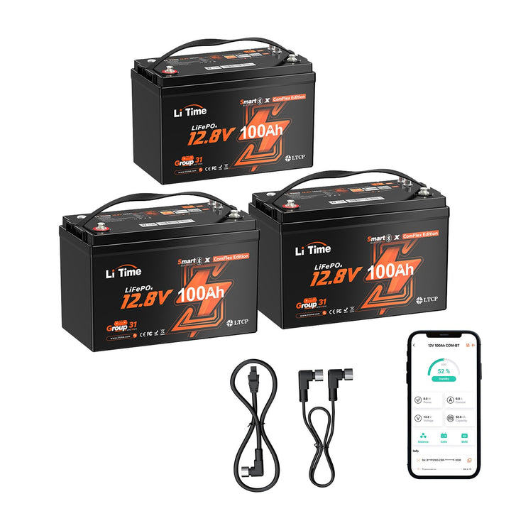 LiTime LiFePO4 12V 100Ah Lithium Batterie Bluetooth mit Victron System, CAN/RS485 Kommunikation, 100