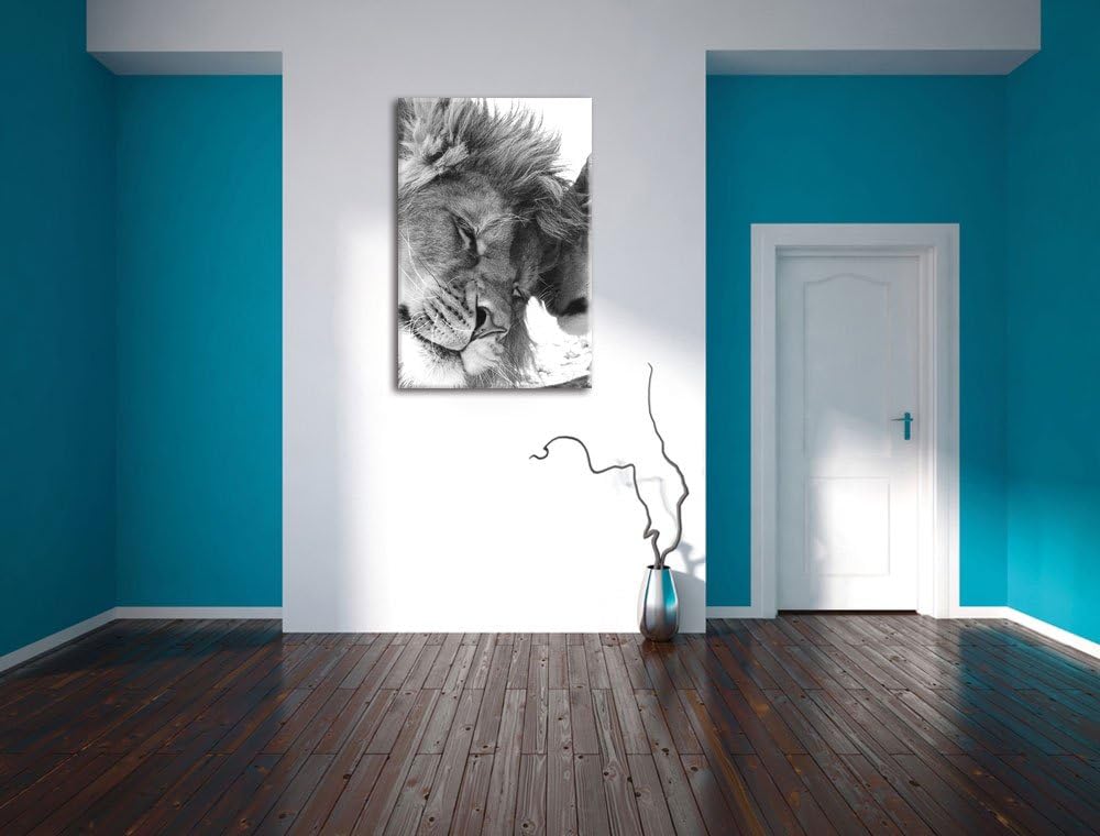 Pixxprint Bezauberndes kuschelndes Löwenpaar als Leinwandbild/Grösse: 100x70 / Wandbild/Kunstdruck/f