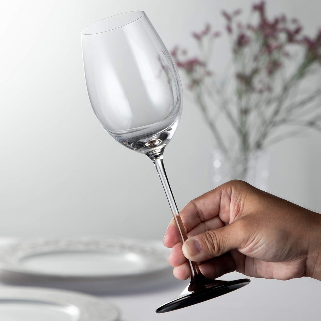 Riedel 4100/33 Sommeliers Black Tie Loire 1/Dose, Loire