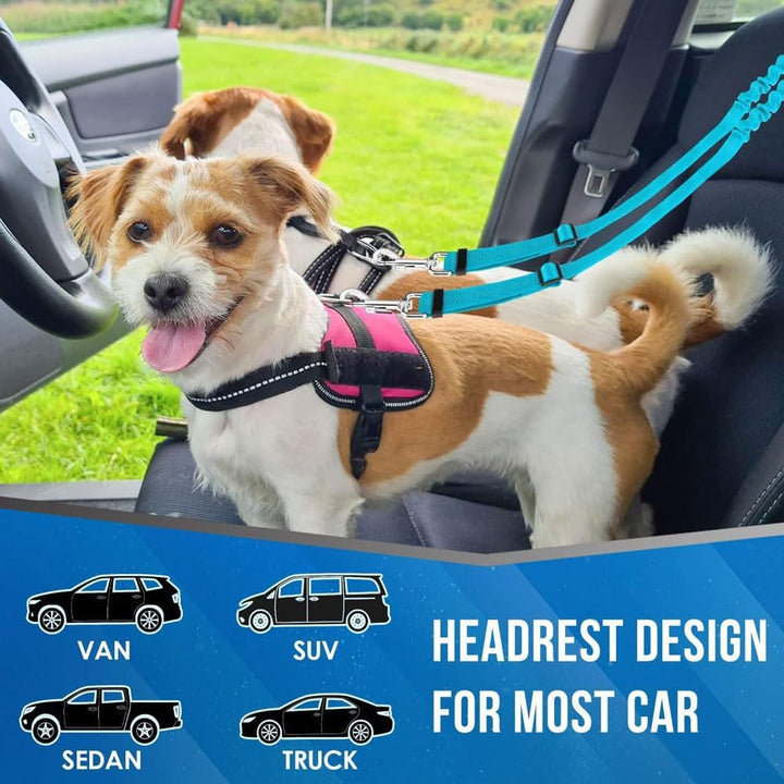 Doppelter Anschnallgurt Hund Auto 2-in-1 Sicherheitsgurt Hunde für Auto & Hundegurt Rückbank Verstel