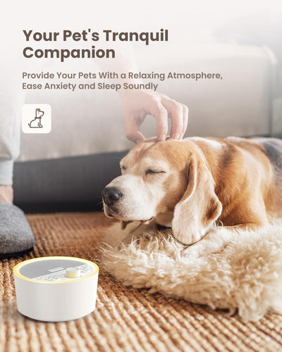 White Noise Machine, RENPHO Einschlafhilfe, weisses Rauschen für besseren Schlaf mit 29 beruhigenden