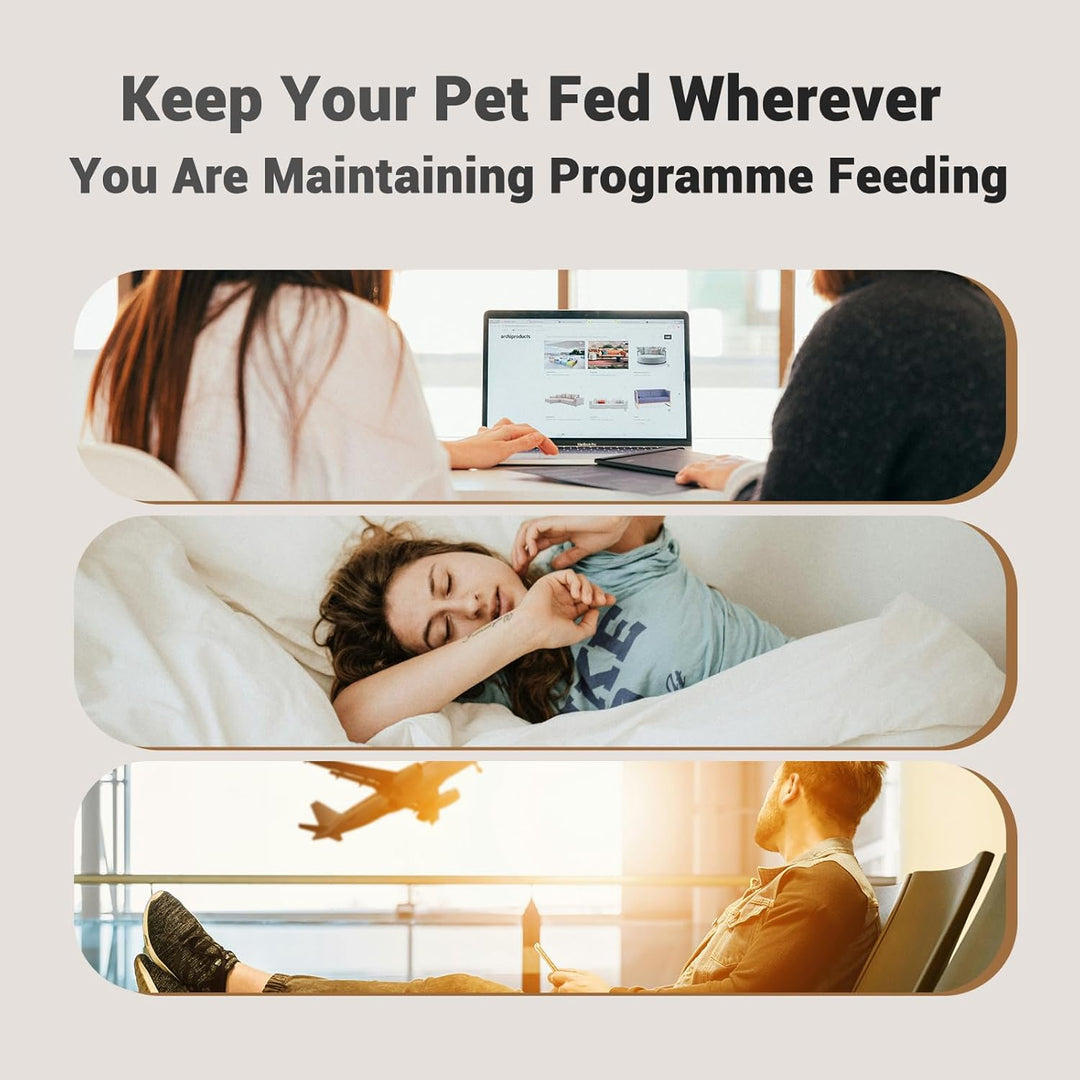IMIPAW Futterautomat Katze WiFi 2.4G: APP-Steuerung Trockenfutterspender für 2 Kleine Hunde und Katz