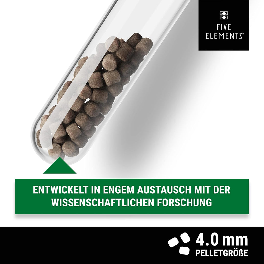 FIVE ELEMENTS Koi Allround Plus | 8,4 kg | hochwertiges Herbst-Futter für Koi | Lachsöl | Kurkuma zu