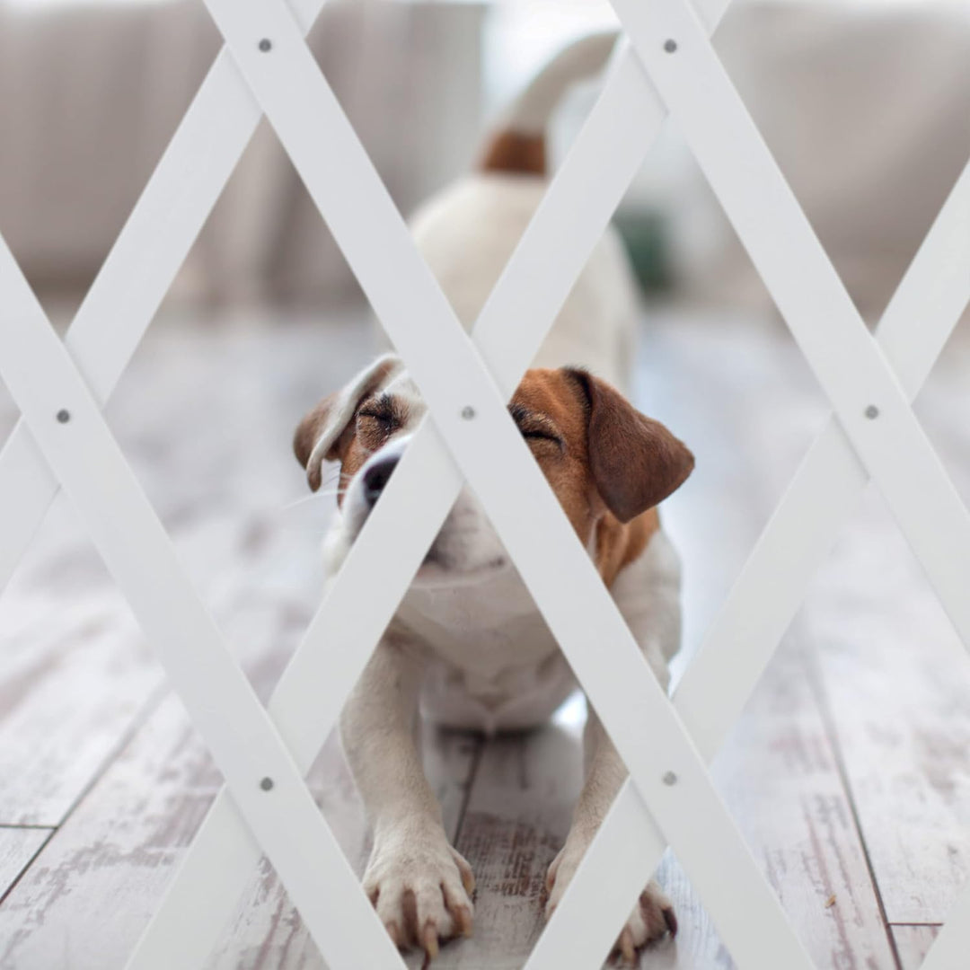 Relaxdays Hundeabsperrgitter ausziehbar bis 140 cm, 87-99 hoch, Bambus, Hunde Schutzgitter für Trepp