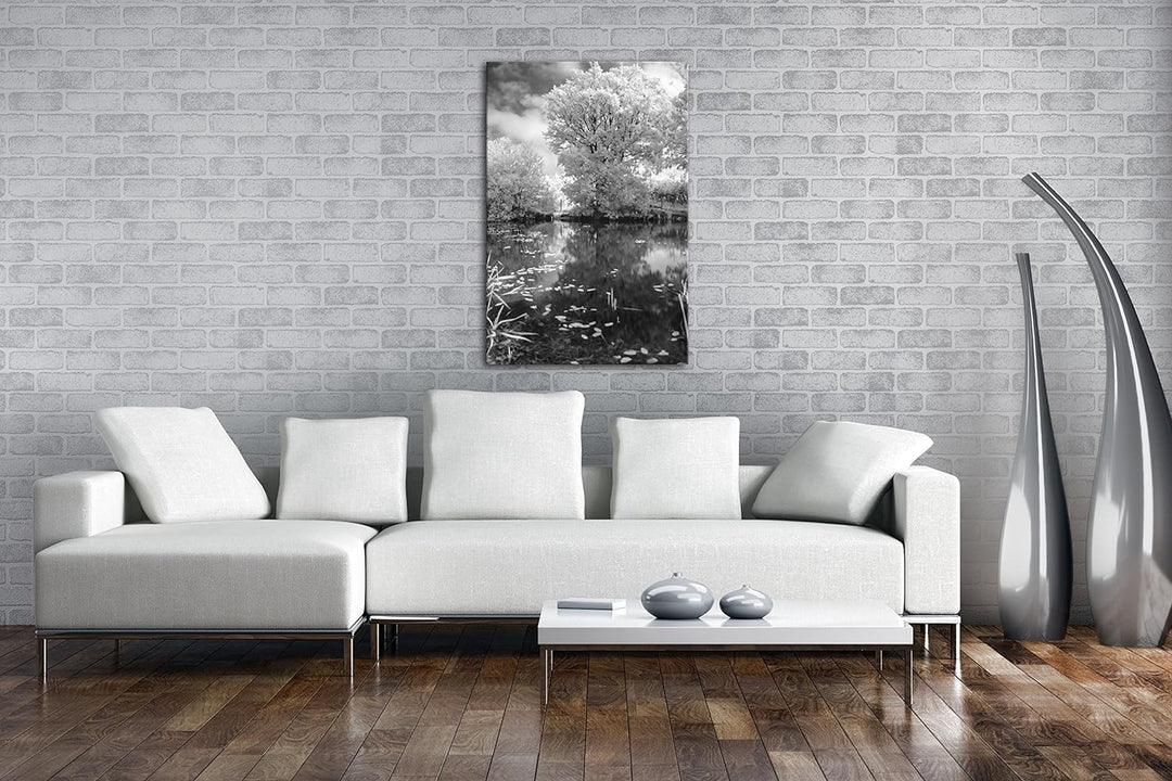 atemberaubender Baum in der Natur Effekt: Schwarz/Weiss im Format: 80x60 als Leinwandbild, Motiv fer