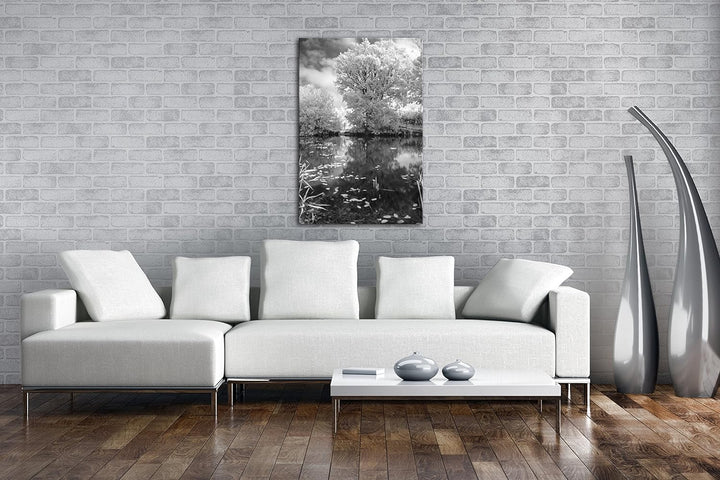 atemberaubender Baum in der Natur Effekt: Schwarz/Weiss im Format: 80x60 als Leinwandbild, Motiv fer