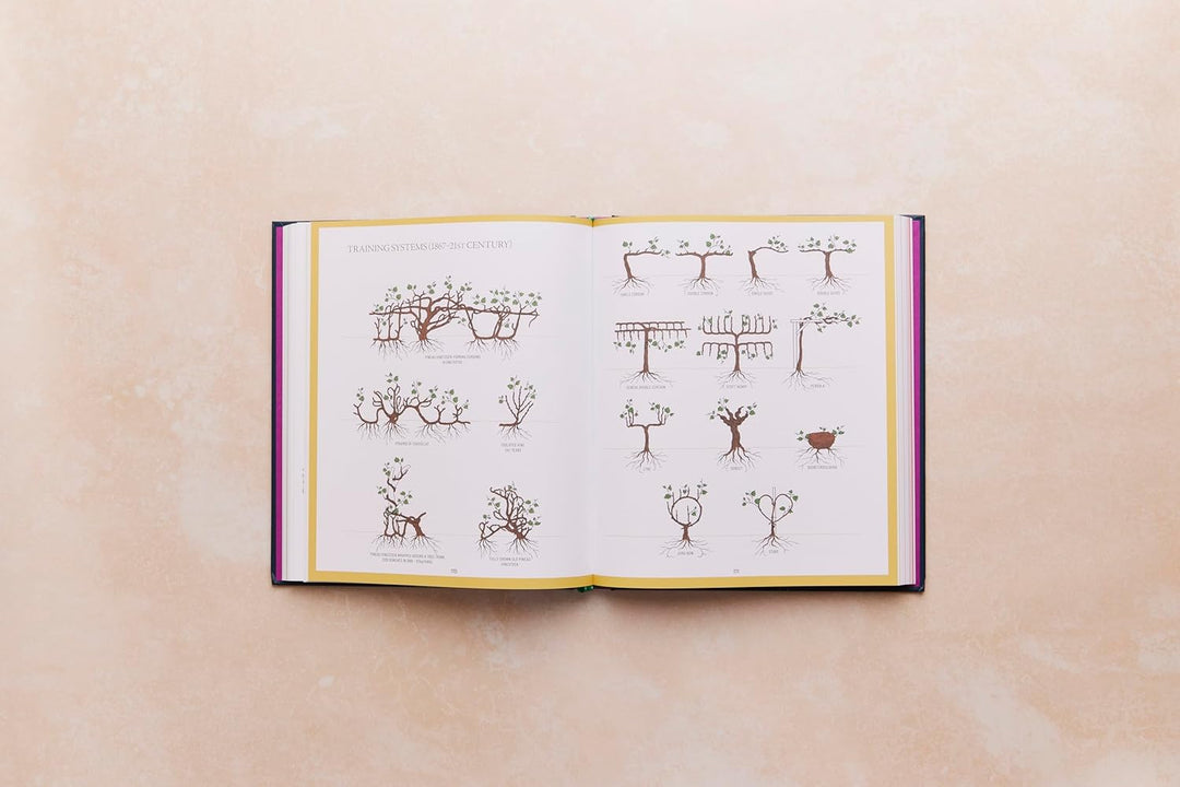 One Thousand Vines: A New Way to Understand Wine, Gebundenes Buch
