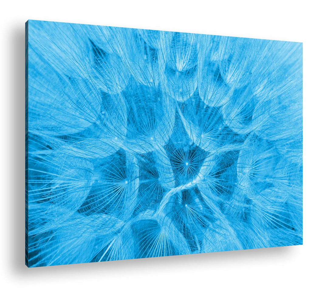deyoli innere einer Pusteblume Format 80x60 Effekt: Monocrome Blau als Leinwandbild, Motiv fertig ge