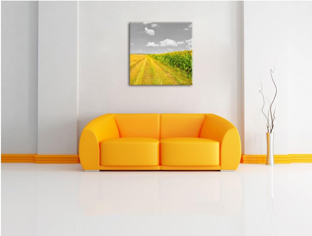 Pixxprint Feldweg Sonnenblumen als Leinwandbild Quadratisch/Grösse: 70x70 / Wandbild/Kunstdruck/fert