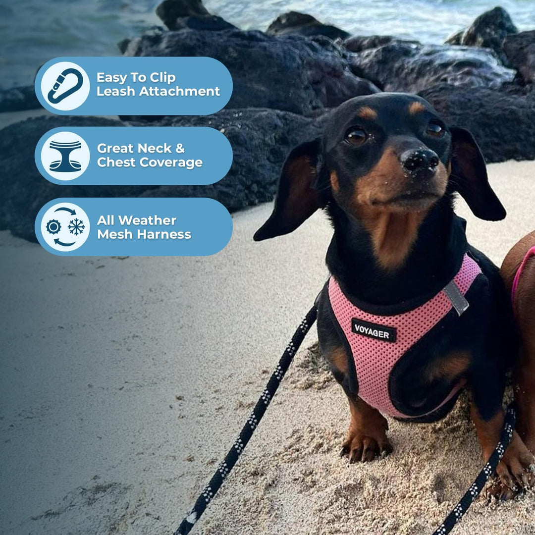 Voyager Step-in Air Hundegeschirr – Allwetter-Netzgewebe für kleine und mittelgrosse Hunde von Best