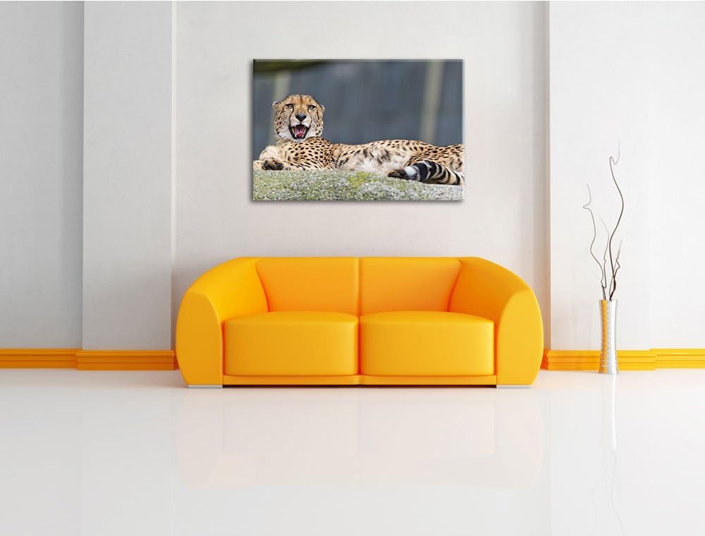 Pixxprint schlafender Gepard auf Leinwand, XXL riesige Bilder fertig gerahmt mit Keilrahmen, Kunstdr