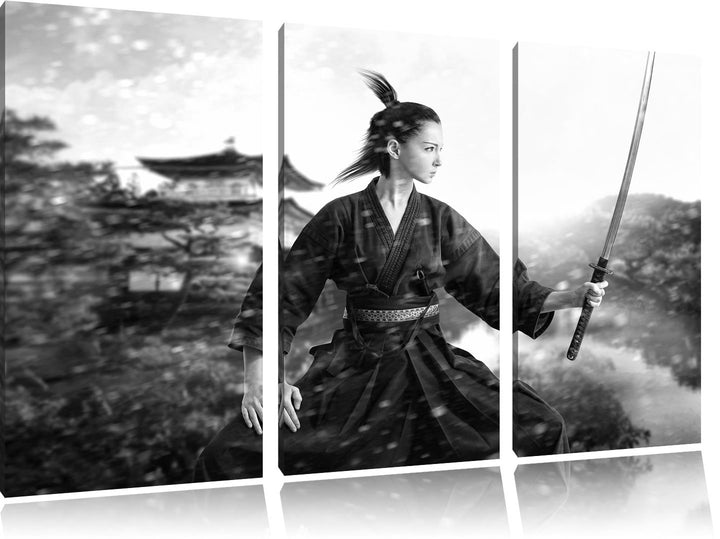 Pixxprint Samurai-Kriegerin als Leinwandbild/Grösse: 3 Teilig (120x80 cm) cm/Wandbild/Kunstdruck/fer