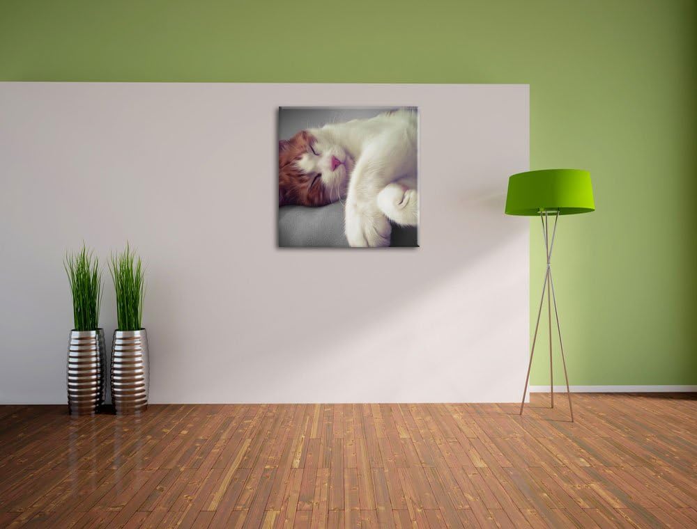 Pixxprint schlafende Katze auf Decke / 70x70cm Leinwandbild bespannt auf Holzrahmen/Wandbild Kunstdr