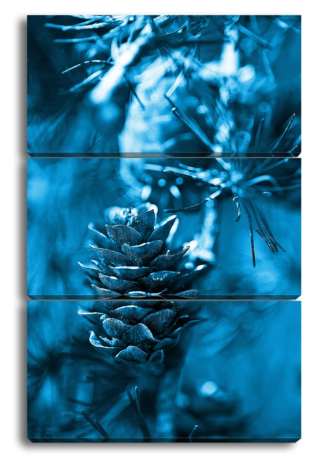 deyoli Tannenzapfen am Ast Format 120x80 3Teilig Effekt: Monocrome Blau als Leinwandbild, Motiv fert