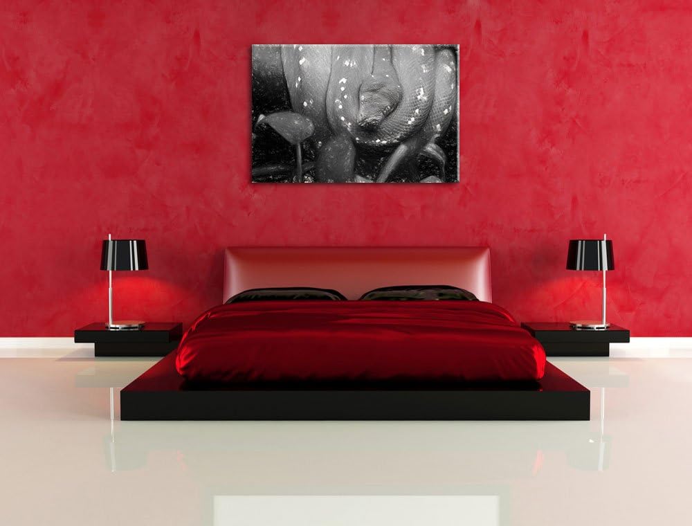 Pixxprint grüne Schlange / 100x70cm Leinwandbild bespannt auf Holzrahmen/Wandbild Kunstdruck Dekorat