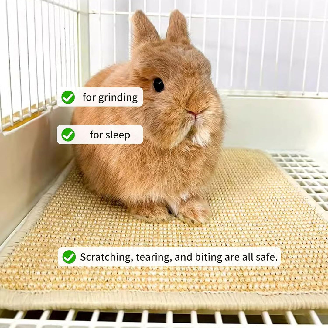2 Kratzmatte für Kaninchen, natürliches Kaninchen Krallen und Zahnpflege, Kaninchen-Matten für Käfig
