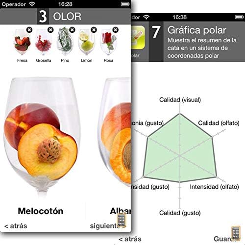 Pulltex - Set mit 24 Weinaromen - Nr. 12 Rotwein und Nr. 12 Aromen der Weissweine, Champagner, in Or