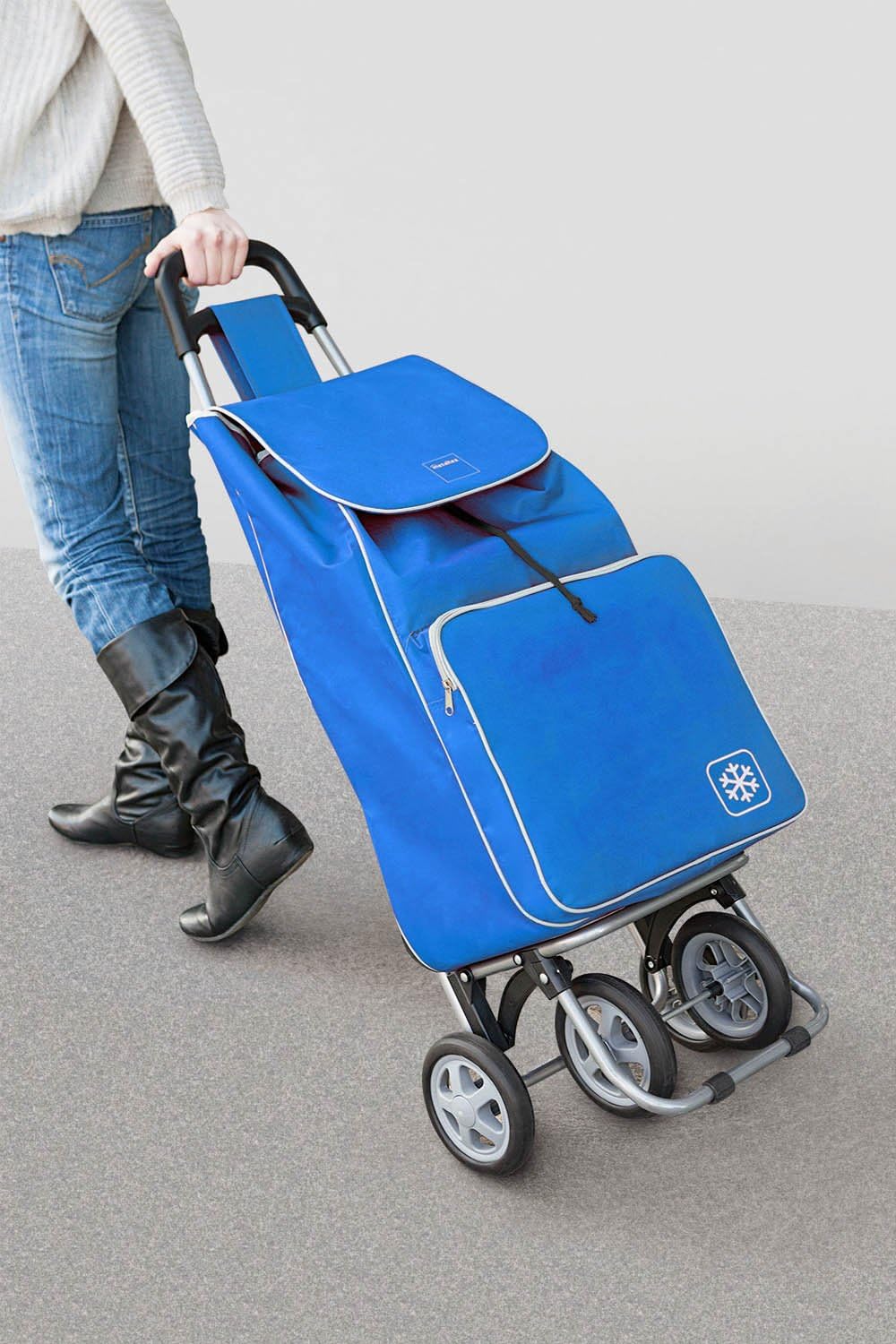 METALTEX CARRO COMPRA 4R. Bolsa FRIGO 'Aloe' Azul, Detailed in The Description, blau, 120x60x6 cm, B