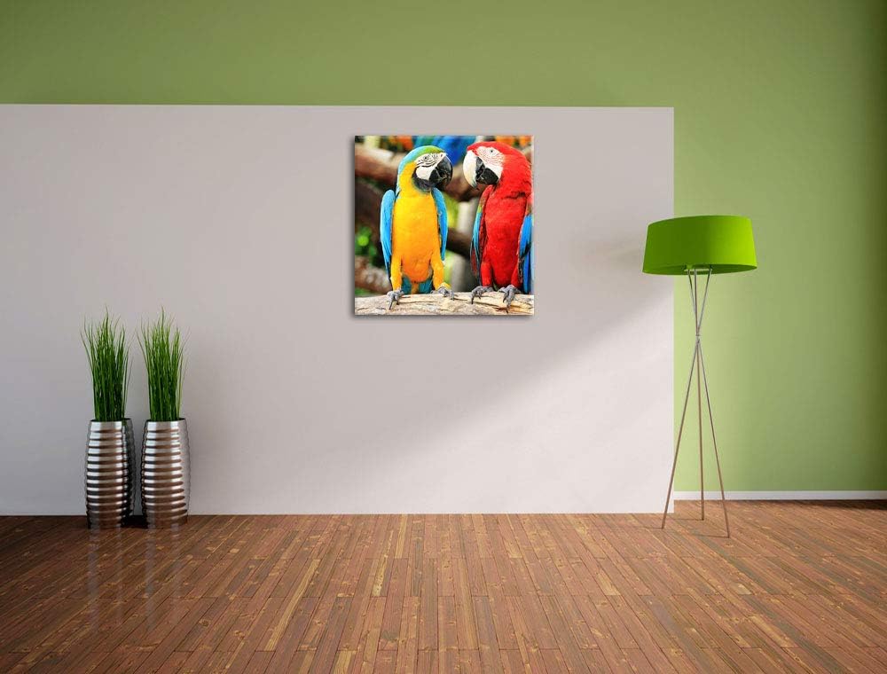 Zwei Papageien auf einem AST, Format: 70x70 auf Leinwand, 70x70