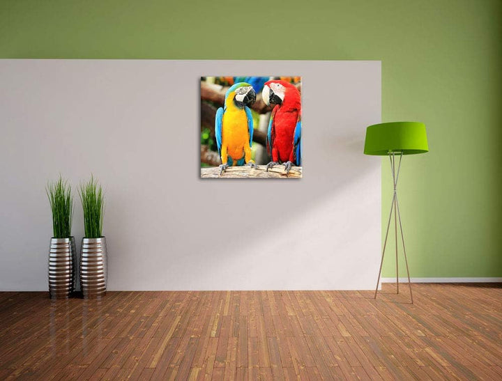 Zwei Papageien auf einem AST, Format: 70x70 auf Leinwand, 70x70