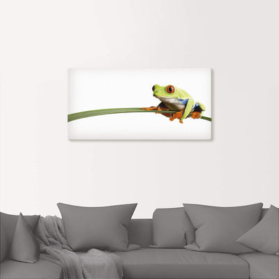 ARTland Leinwandbilder Wandbild Bild auf Leinwand 60x30 cm Frosch Tiere Natur Pflanze Blätter Gräser