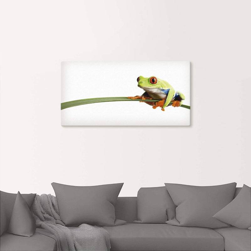 ARTland Leinwandbilder Wandbild Bild auf Leinwand 100x50 cm Frosch Tiere Natur Pflanze Blätter Gräse