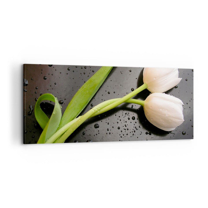 Wandbilder Dekoration Wohnzimmer Tulpen Blume Pflanzung Pflanze Panorama Bilder auf Leinwand 120x50c