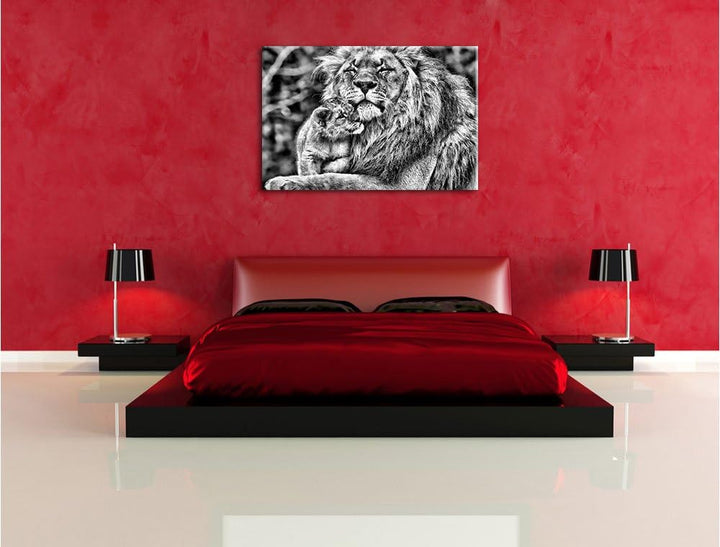 Pixxprint Monocrome, Löwenvater kuschelt mit Jungtier, Format: 100x70 auf Leinwand, XXL riesige Bild