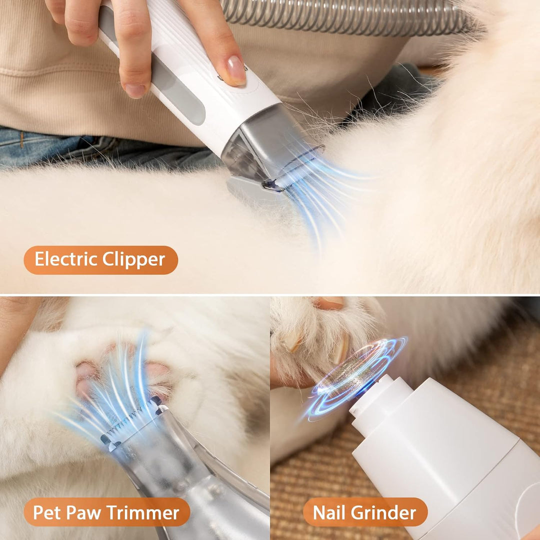 Afloia Hundeschermaschine mit Staubsauger, Profi Haustierpflegeset, leise Schermaschine Hund Katze T